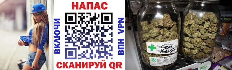 Виды наркотиков купить Курчатов Конопля Cocaine Гашиш
