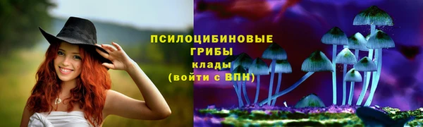прущие грибы Алексеевка
