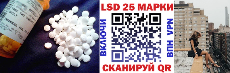 mega вход  Курчатов  Лсд 25 экстази ecstasy 