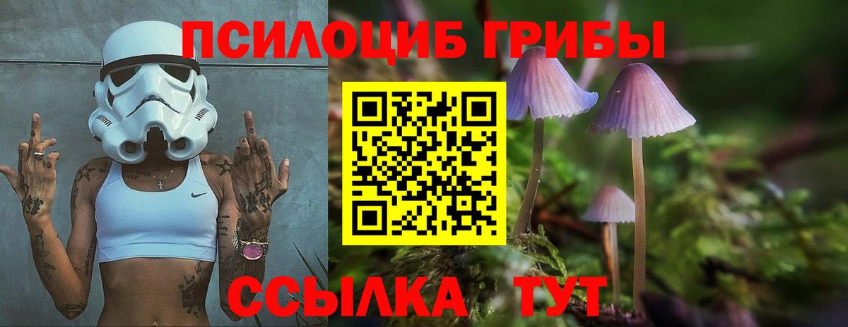 Курчатов  Галлюциногенные грибы мухоморы  Вход с VPN 